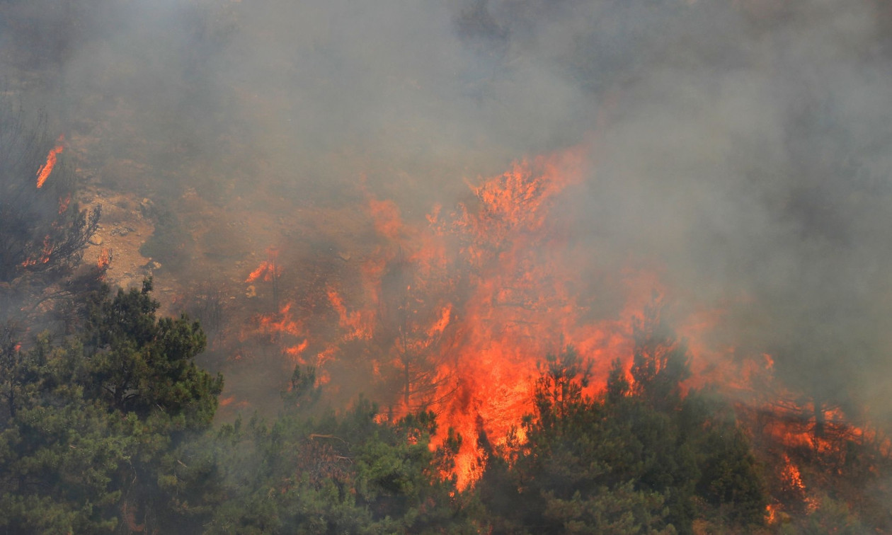 ΤΡΙΚΑΛΑ - Φωτιά στο Δροσοχώρι Τρικάλων ΤΡΙΚΑΛΑ - Φωτιά στο Δροσοχώρι Τρικάλων