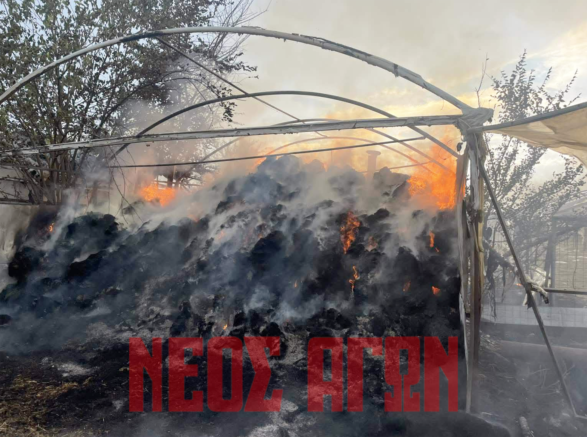 ΚΑΡΔΙΤΣΑ - Στις φλόγες κτηνοτροφική μονάδα στο Προάστιο (ΦΩTO) ΚΑΡΔΙΤΣΑ - Στις φλόγες κτηνοτροφική μονάδα στο Προάστιο (ΦΩTO)