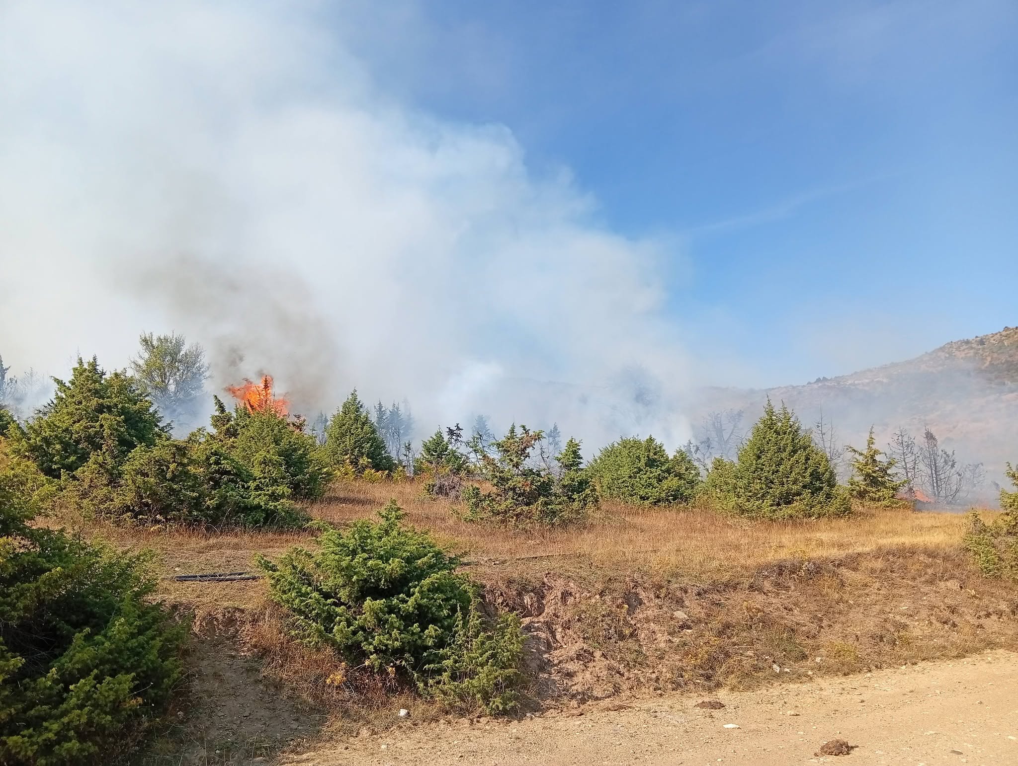ΛΑΡΙΣΑ - Μεγάλη κινητοποίηση για πυρκαγιά σε αγροτοδασική έκταση στην Ανατολή Αγιάς - συνδράμουν 5 εναέρια (ΦΩΤΟ) ΛΑΡΙΣΑ - Μεγάλη κινητοποίηση για πυρκαγιά σε αγροτοδασική έκταση στην Ανατολή Αγιάς - συνδράμουν 5 εναέρια (ΦΩΤΟ)