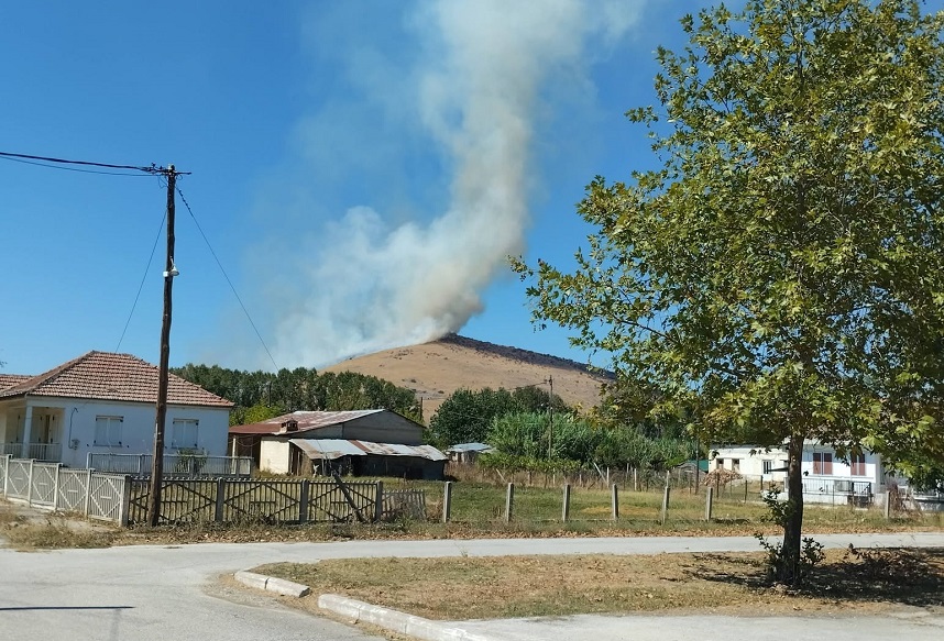 ΚΑΡΔΙΤΣΑ - Καρδίτσα: Φωτιά στο Τιτάνιο όρος στη Μεταμόρφωση- Σηκώθηκαν 5 εναέρια μέσα (ΦΩΤΟ) ΚΑΡΔΙΤΣΑ - Καρδίτσα: Φωτιά στο Τιτάνιο όρος στη Μεταμόρφωση- Σηκώθηκαν 5 εναέρια μέσα (ΦΩΤΟ)
