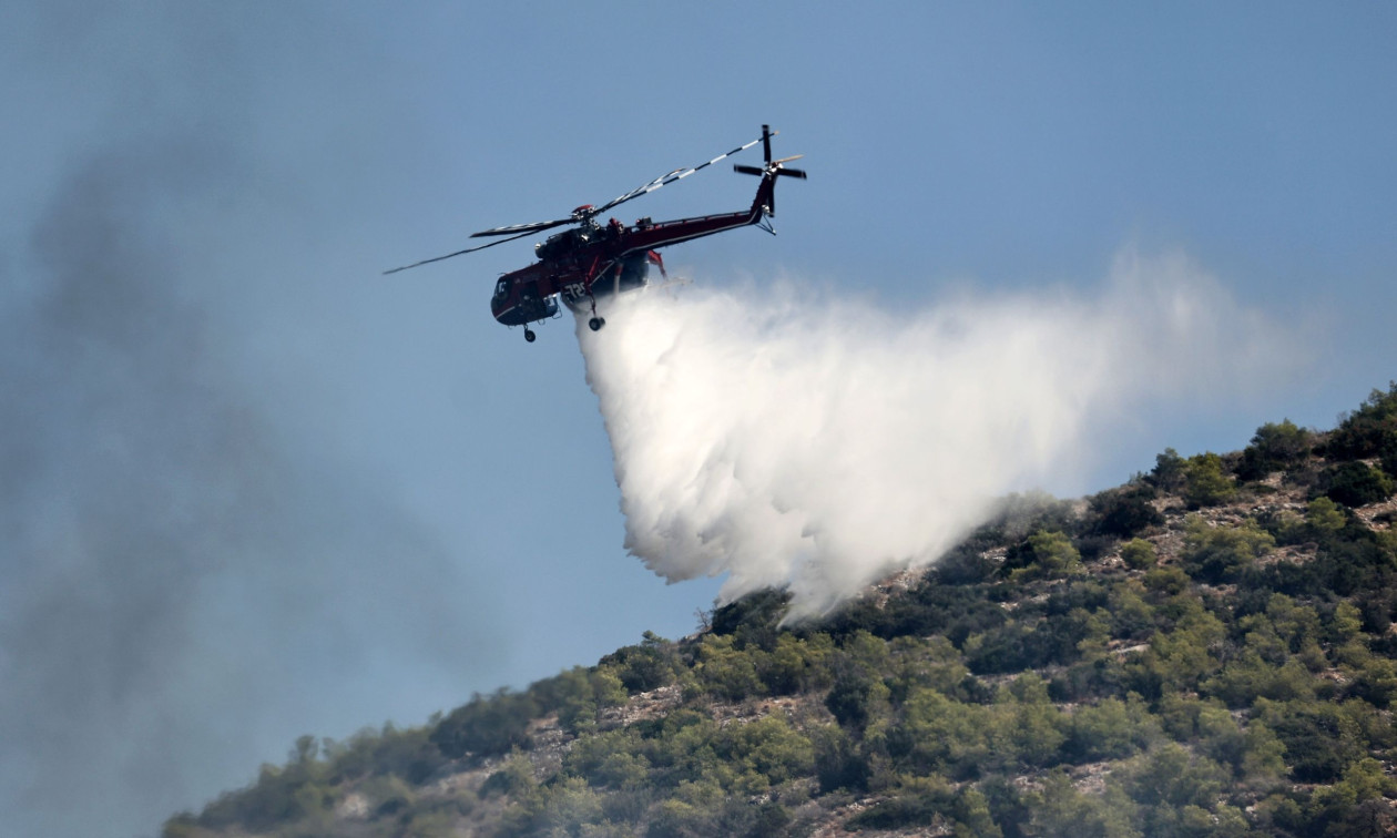 Φωτιά σε δασική έκταση στην Ελασσόνα - Επιχειρούν έξι εναέρια μέσα