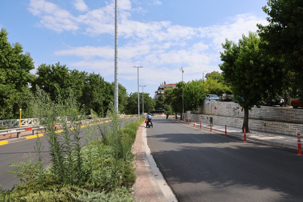 ΛΑΡΙΣΑ - Δήμος Λαρισαίων: Εργασίες κλαδέματος επί της Γεωργιάδου την Κυριακή ΛΑΡΙΣΑ - Δήμος Λαρισαίων: Εργασίες κλαδέματος επί της Γεωργιάδου την Κυριακή