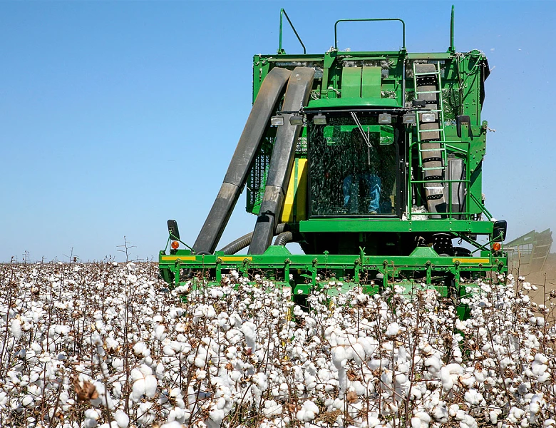 ΘΕΣΣΑΛΙΑ - Μαύρα σύννεφα πάνω από τα βαμβακοχώραφα της Θεσσαλίας-αγωνία για βροχές και διεθνή τιμή ΘΕΣΣΑΛΙΑ - Μαύρα σύννεφα πάνω από τα βαμβακοχώραφα της Θεσσαλίας-αγωνία για βροχές και διεθνή τιμή