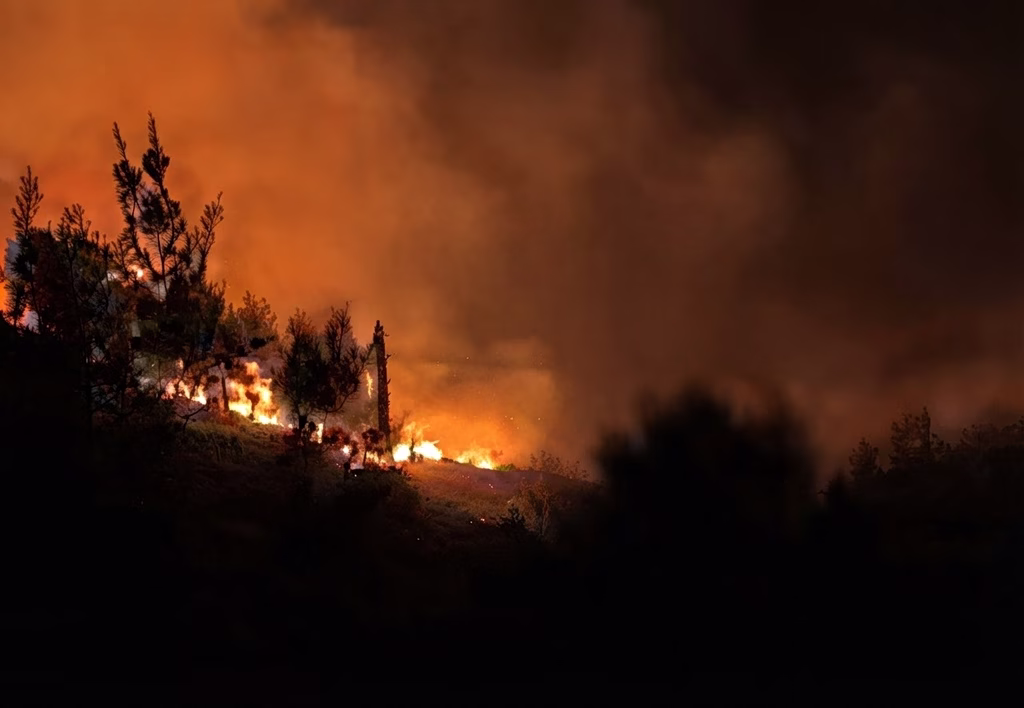ΕΛΛΑΔΑ - Μεγάλη φωτιά σε εξέλιξη στην Καλλονή της Λέσβου ΕΛΛΑΔΑ - Μεγάλη φωτιά σε εξέλιξη στην Καλλονή της Λέσβου