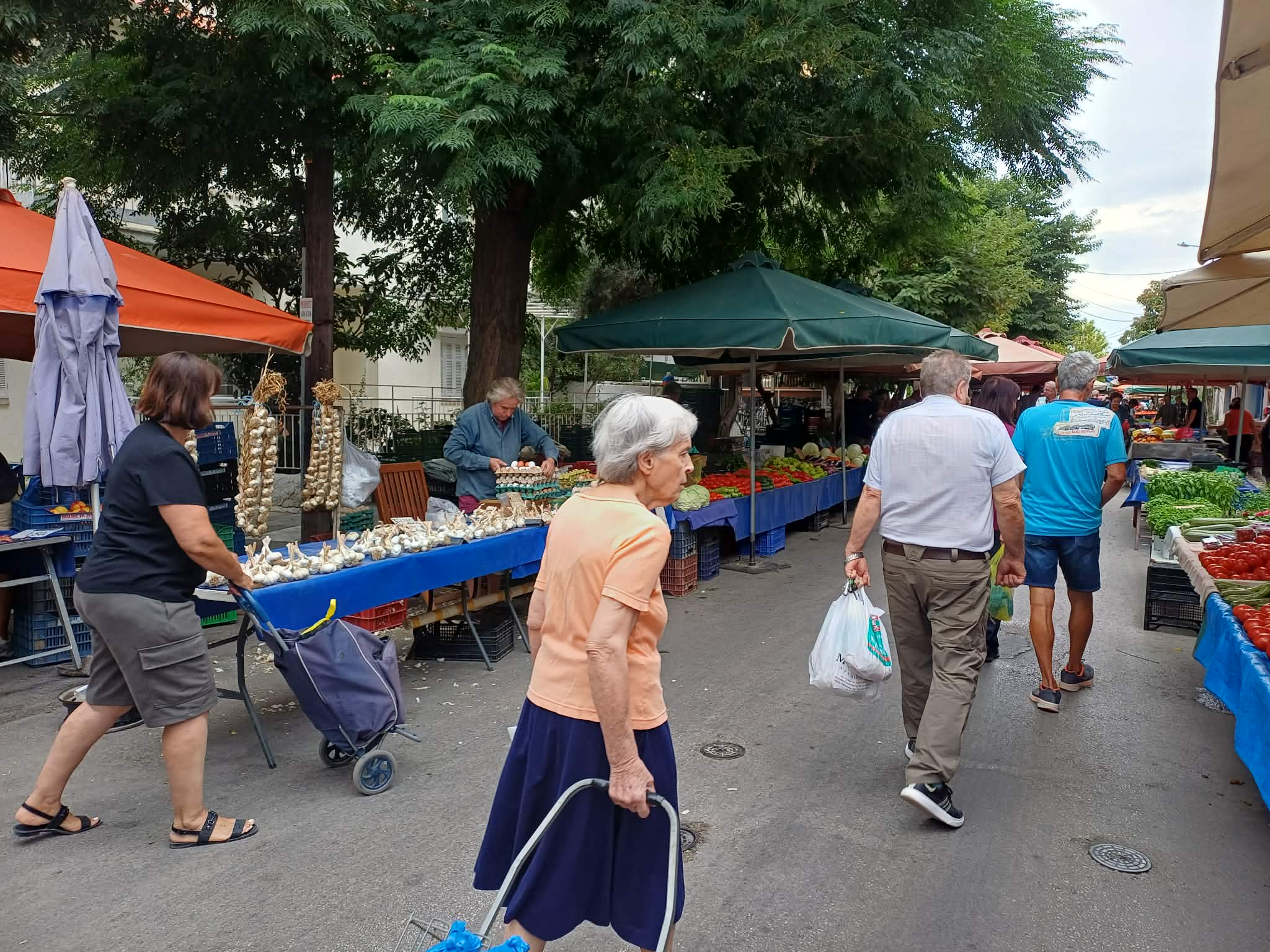 Δύσκολος χειμώνας για την αγορά της Θεσσαλίας λόγω αγροτικού και ακρίβειας σε ενέργεια, καύσιμα, τρόφιμα