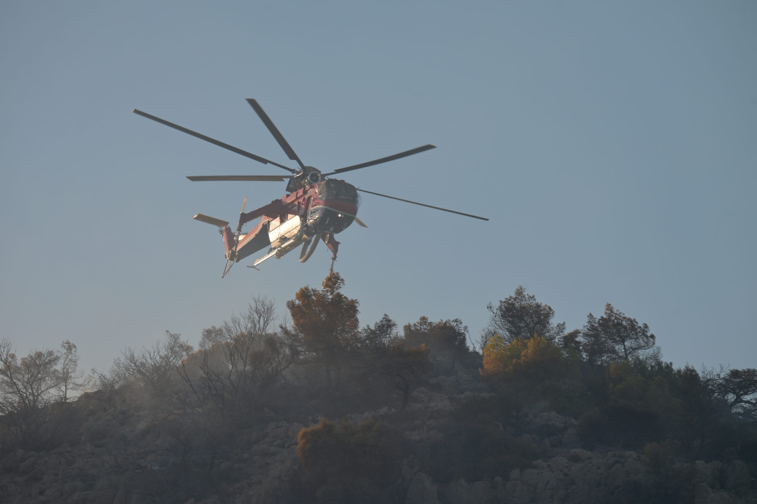 ΛΑΡΙΣΑ - Λάρισα: Πυρκαγιά σε χαμηλή βλάστηση στην περιοχή Άζωρος Ελασσόνας ΛΑΡΙΣΑ - Λάρισα: Πυρκαγιά σε χαμηλή βλάστηση στην περιοχή Άζωρος Ελασσόνας