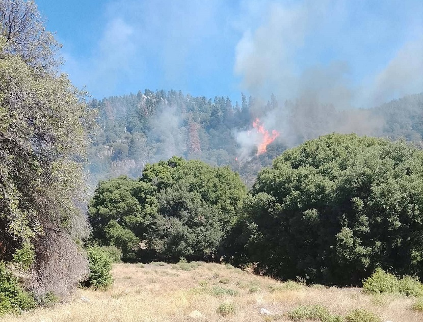 ΚΑΡΔΙΤΣΑ - Φωτιά σε δάσος στο Καταφύλλι Αργιθέας, επιχειρεί και ελικόπτερο (ΦΩΤΟ) ΚΑΡΔΙΤΣΑ - Φωτιά σε δάσος στο Καταφύλλι Αργιθέας, επιχειρεί και ελικόπτερο (ΦΩΤΟ)