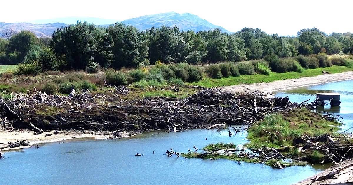 ΛΑΡΙΣΑ - ΤΟΕΒ Πηνειού προς ΟΔΥΘ: Η Γυρτώνη δεν είναι σκουπιδότοπος , είναι υποδομή για τους αγρότες ΛΑΡΙΣΑ - ΤΟΕΒ Πηνειού προς ΟΔΥΘ: Η Γυρτώνη δεν είναι σκουπιδότοπος , είναι υποδομή για τους αγρότες