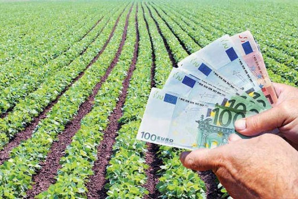 ΑΓΡΟΤΙΚΑ - Μέχρι την Πέμπτη πιστώσεις για υπόλοιπα άμεσων 2025, μαζί με τα οικολογικά και τα βιολογικά σχήματα ΑΓΡΟΤΙΚΑ - Μέχρι την Πέμπτη πιστώσεις για υπόλοιπα άμεσων 2025, μαζί με τα οικολογικά και τα βιολογικά σχήματα