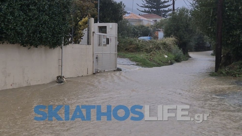 ΒΟΛΟΣ - Σκιάθος: Πλημμυρικά φαινόμενα και πτώσεις δέντρων τη νύχτα – Κλειστά σχολεία και χωρίς λεωφορεία ΒΟΛΟΣ - Σκιάθος: Πλημμυρικά φαινόμενα και πτώσεις δέντρων τη νύχτα – Κλειστά σχολεία και χωρίς λεωφορεία