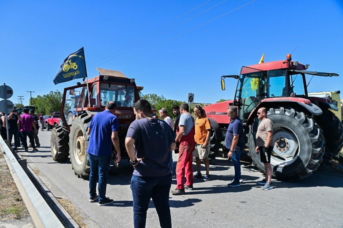 ΘΕΣΣΑΛΙΑ - Αγρότες στο υπουργείο σήμερα: Πληρωμές, ΟΣΔΕ και πετρέλαιο στο τραπέζι – Τι περιμένει η Θεσσαλία ΘΕΣΣΑΛΙΑ - Αγρότες στο υπουργείο σήμερα: Πληρωμές, ΟΣΔΕ και πετρέλαιο στο τραπέζι – Τι περιμένει η Θεσσαλία
