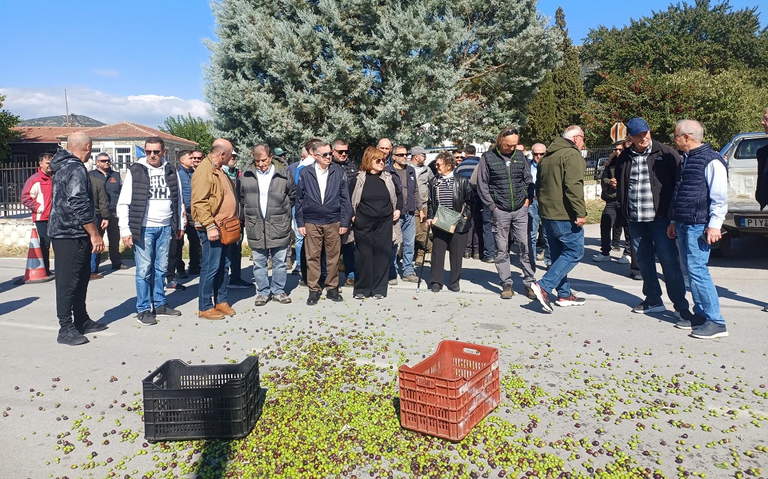 ΛΑΡΙΣΑ - Ελαιοπαραγωγοί σε απόγνωση σε Τέμπη και Συκούριο – Δάκος και χαμηλές τιμές πιέζουν το εισόδημα ΛΑΡΙΣΑ - Ελαιοπαραγωγοί σε απόγνωση σε Τέμπη και Συκούριο – Δάκος και χαμηλές τιμές πιέζουν το εισόδημα