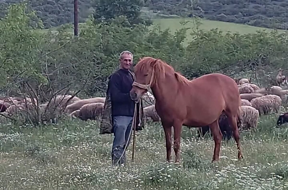 ΤΡΙΚΑΛΑ - Κηδεύεται σήμερα ο Απόστολος Καψιώχας στην Πηνειάδα Τρικάλων ΤΡΙΚΑΛΑ - Κηδεύεται σήμερα ο Απόστολος Καψιώχας στην Πηνειάδα Τρικάλων