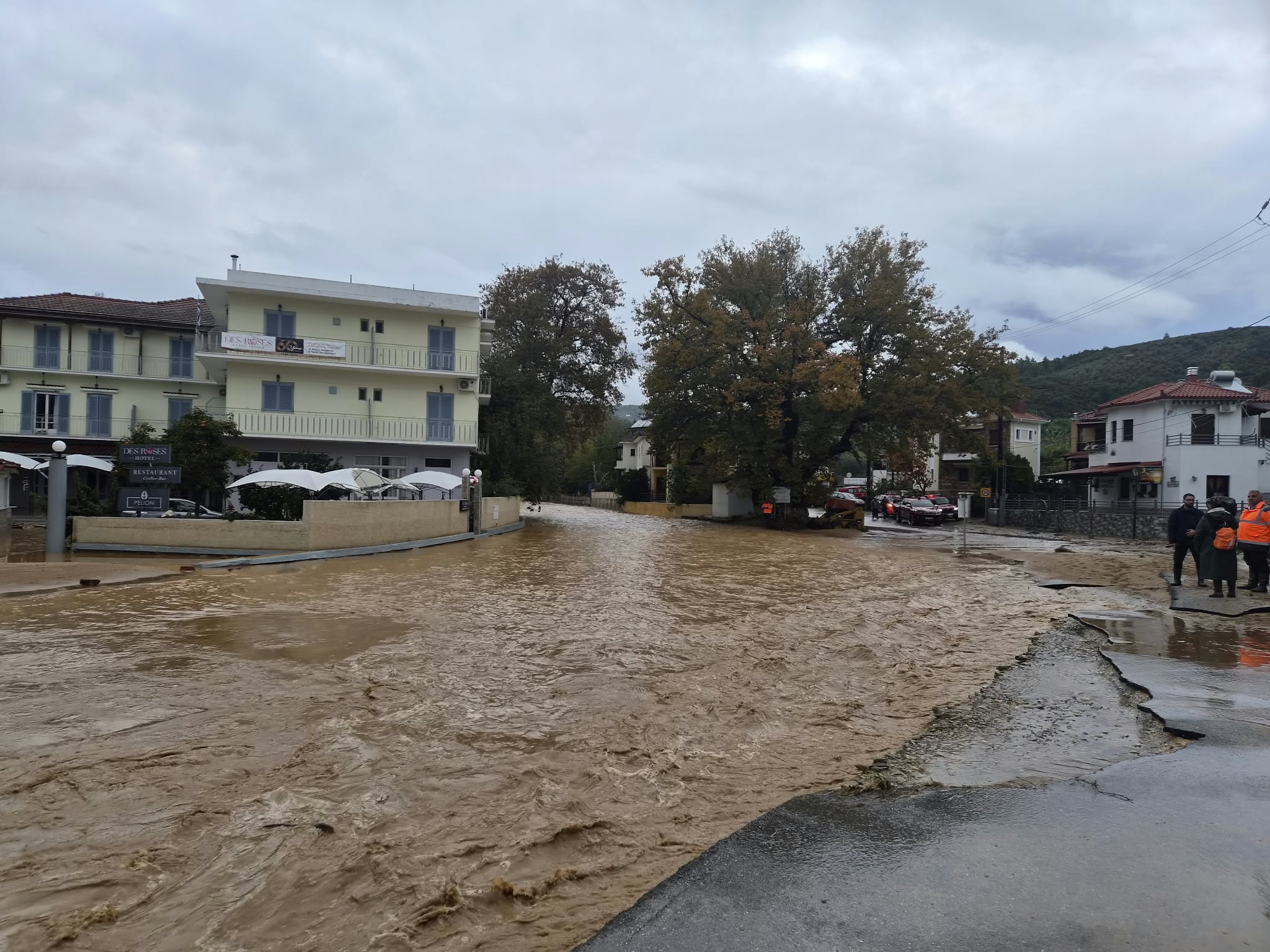Η αντιπλημμυρική προστασία αρχίζει από το βουνό – Το μάθημα που δεν πρέπει να αγνοήσουμε