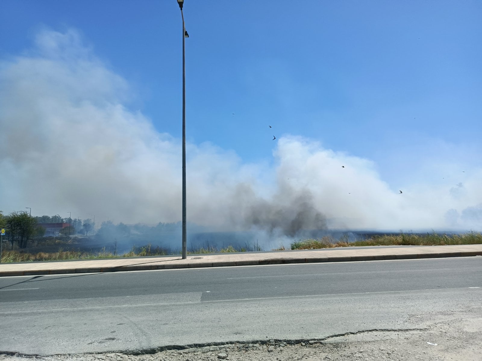 Λάρισα: Πυρκαγιά κοντά στον Αμπελώνα κινητοποίησε ισχυρές δυνάμεις της Πυροσβεστικής