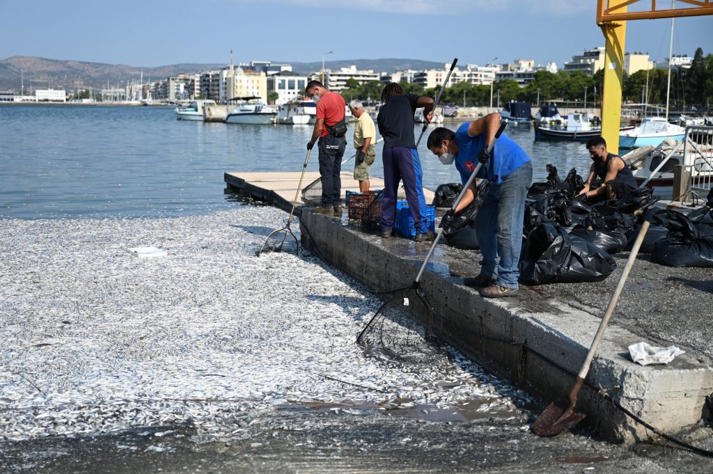 Για ένα μήνα κηρύχτηκε σε κατάσταση έκτακτης ανάγκης ο Βόλος για τα νεκρά ψάρια στον Παγασητικό