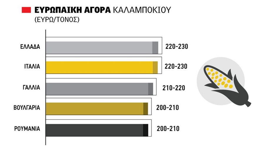 Κατοχυρώνει 23 λεπτά το καλαμπόκι με τάσεις ανόδου πανευρωπαϊκά, από 215 ευρώ και πάνω βγαίνει όποια εισαγωγή