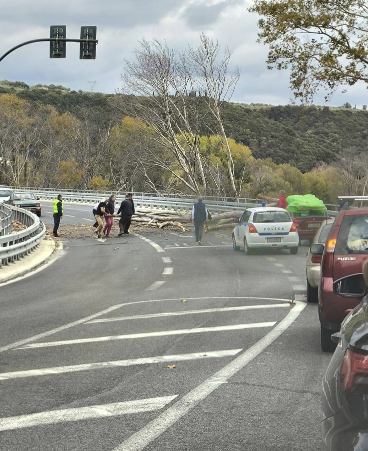 Τρομάρα για διερχόμενους οδηγούς από την πτώση δέντρου στην ΕΟ στα Τέμπη (ΦΩΤΟ)