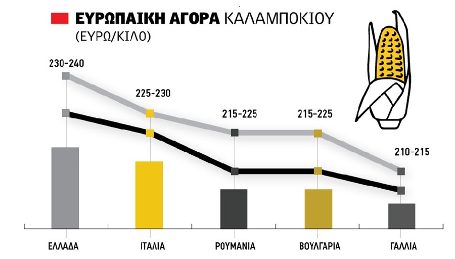 Βάζει πλώρη για 25 λεπτά το καλαμπόκι, λείπει χρήμα από κτηνοτρόφους για τις αγορές