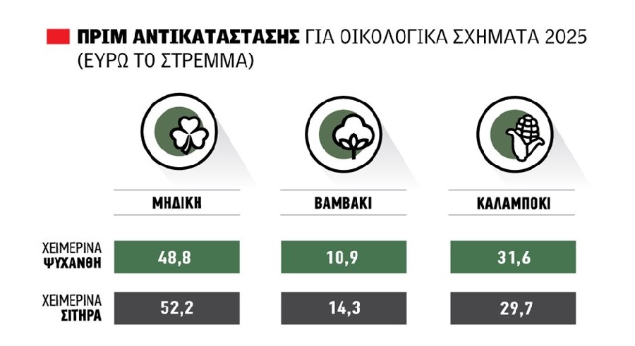 Επιδότηση σποράς μέχρι 52,2 ευρώ το στρέμμα για σιτηρά και ψυχανθή