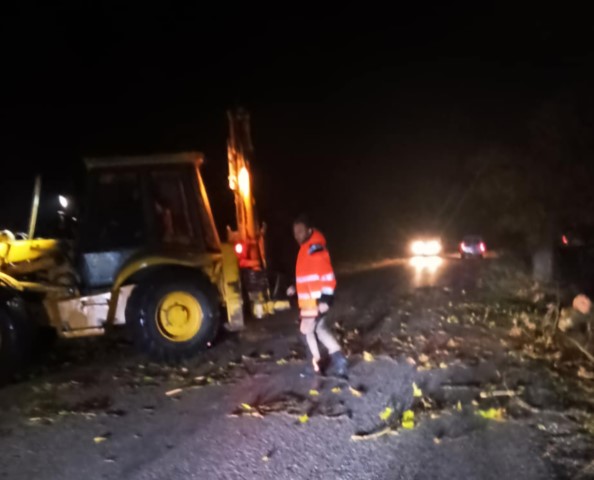 Ισχυροί άνεμοι έπληξαν τα Τρίκαλα- χωρίς ρεύα αρκετά χωριά, ξεριζώθηκαν δέντρα (video)