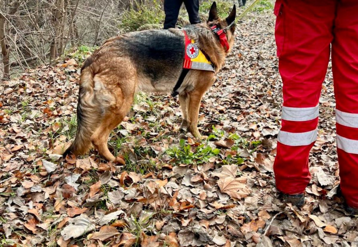 Με sonar, drones και σκύλους ψάχνουν εναγωνίως τον 39χρονο Βασίλη– Όλα τα σενάρια ανοιχτά