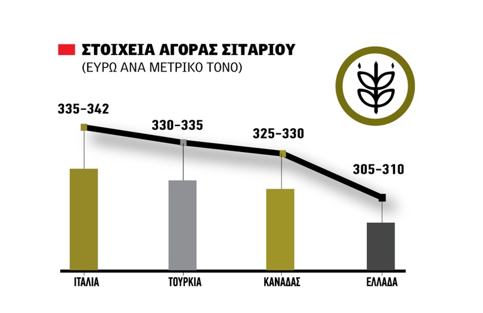 Σε άνοδο διεθνώς το σιτάρι, σκαρφάλωσε στα 342 ευρώ η λίστα Φότζια