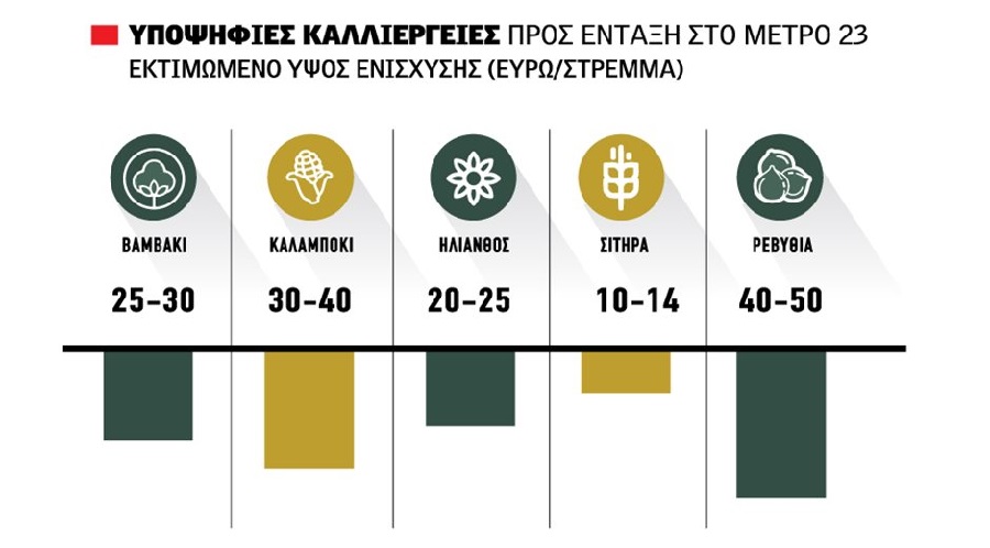 Κοντά στα 35 ευρώ για το καλαμπόκι και πέριξ 25 ευρώ για το βαμβάκι ενίσχυση από Μέτρο 23 μέσα σταφύλι, φυρανιά