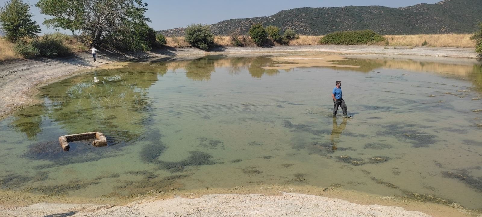 Σε απελπισία και απόγνωση ελαιοπαραγωγοί στους Γόννους