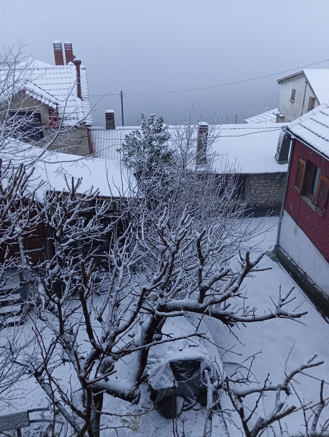 Λευκό Χριστουγεννιάτικο πέπλο στη Λίμνη Πλαστήρα (φωτο)