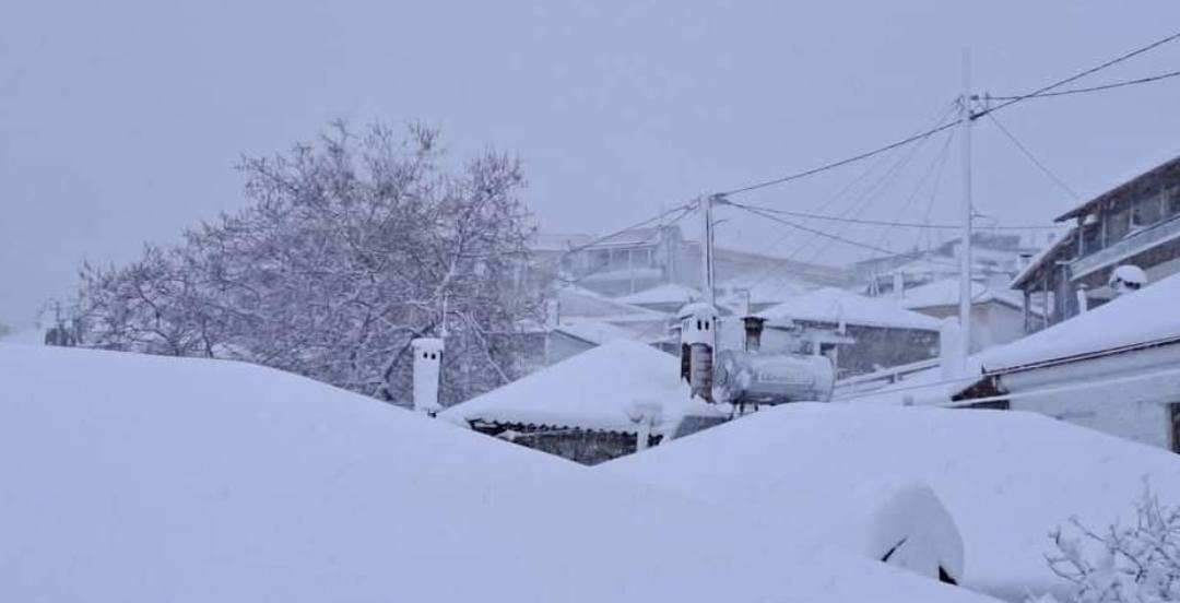 Το Λιβάδι Ελασσόνας θαμμένο στο χιόνι (ΦΩΤΟ)