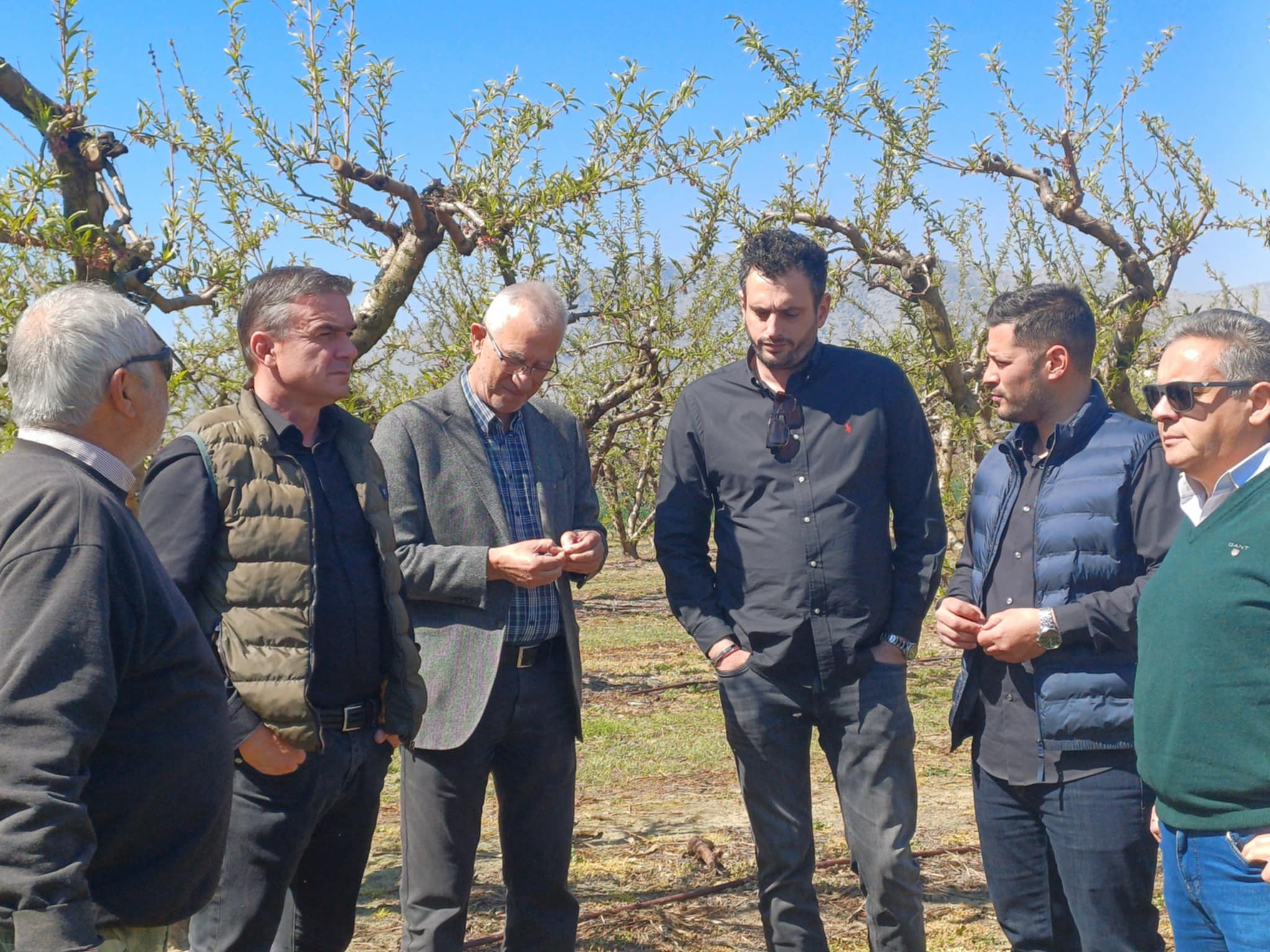 Ολοκληρωτική καταστροφή από νέο παγετό σήμερα στη Λάρισα- αυτοψία κλιμακίου στις πληγείσες καλλιέργειες στον Τύρναβο