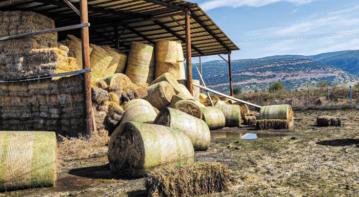 Λάρισα: Παραγωγοί, θύματα του Daniel, αποκαλύπτουν: Μετρούν ζημιές μισό δισ., έλαβαν «ψίχουλα»