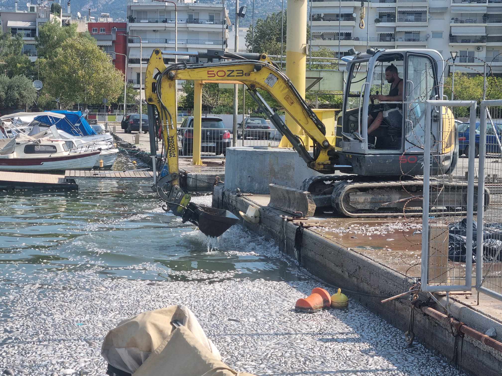 Ειδικά αντιρρυπαντικά σκάφη για την περισυλλογή των νεκρών ψαριών -με κάθε μέσο  η απομάκρυνσή τους από την παραλία (ΦΩΤΟ)