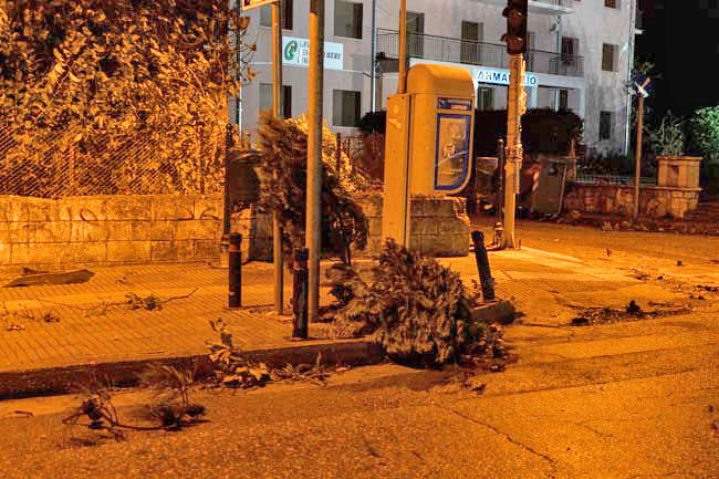 Προβλήματα και ζημιές στο Ν. Καρδίτσας από τους θυελλώδεις ανέμους-ριπές μέχρι 10 μποφόρ