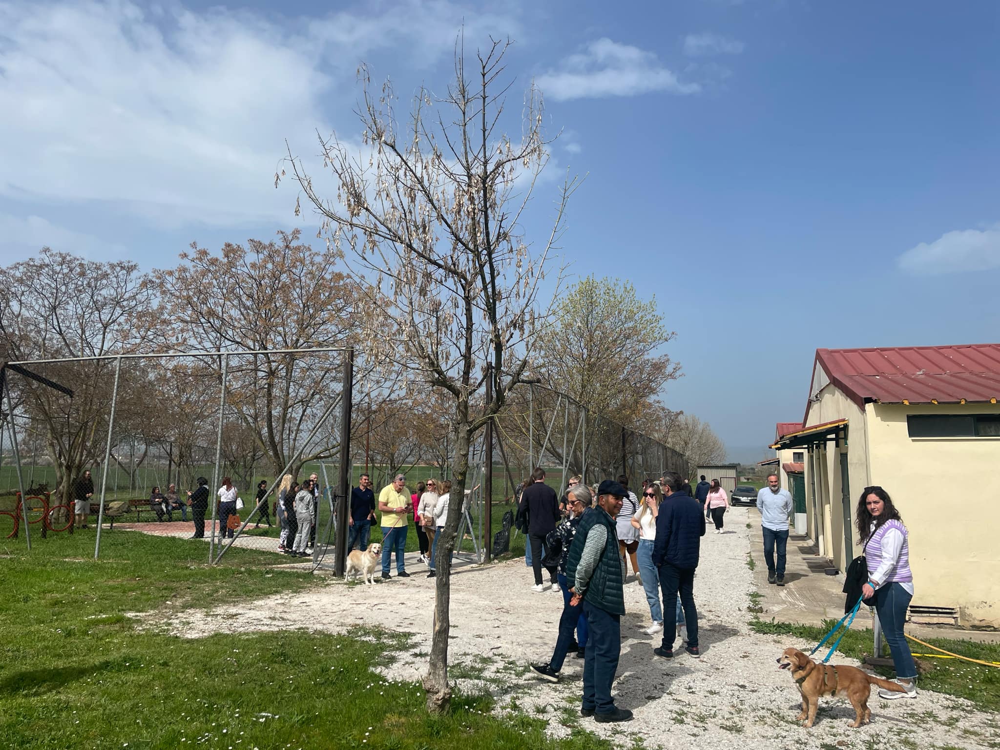 Παραδόθηκε σήμερα ο νέος χώρος προαυλισμού στο Δημοτικό Καταφύγιο Αδέσποτων Ζώων Λάρισας(ΦΩΤΟ)