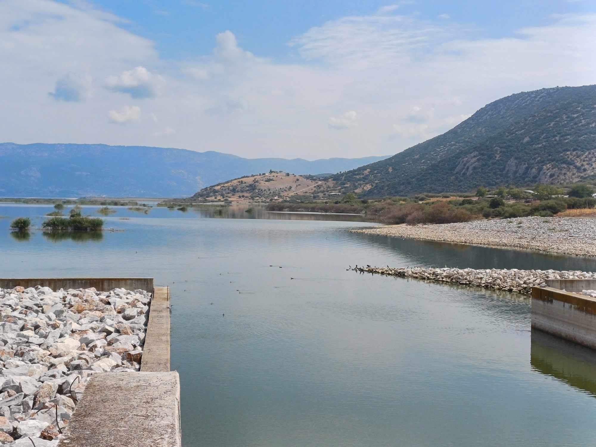 Σε ανανεργό λατομείο δίπλα στην Κάρλα προς τα Κανάλια θα θαφτούν τα ψάρια που δεν μπορούν να καούν (ΦΩΤΟ)