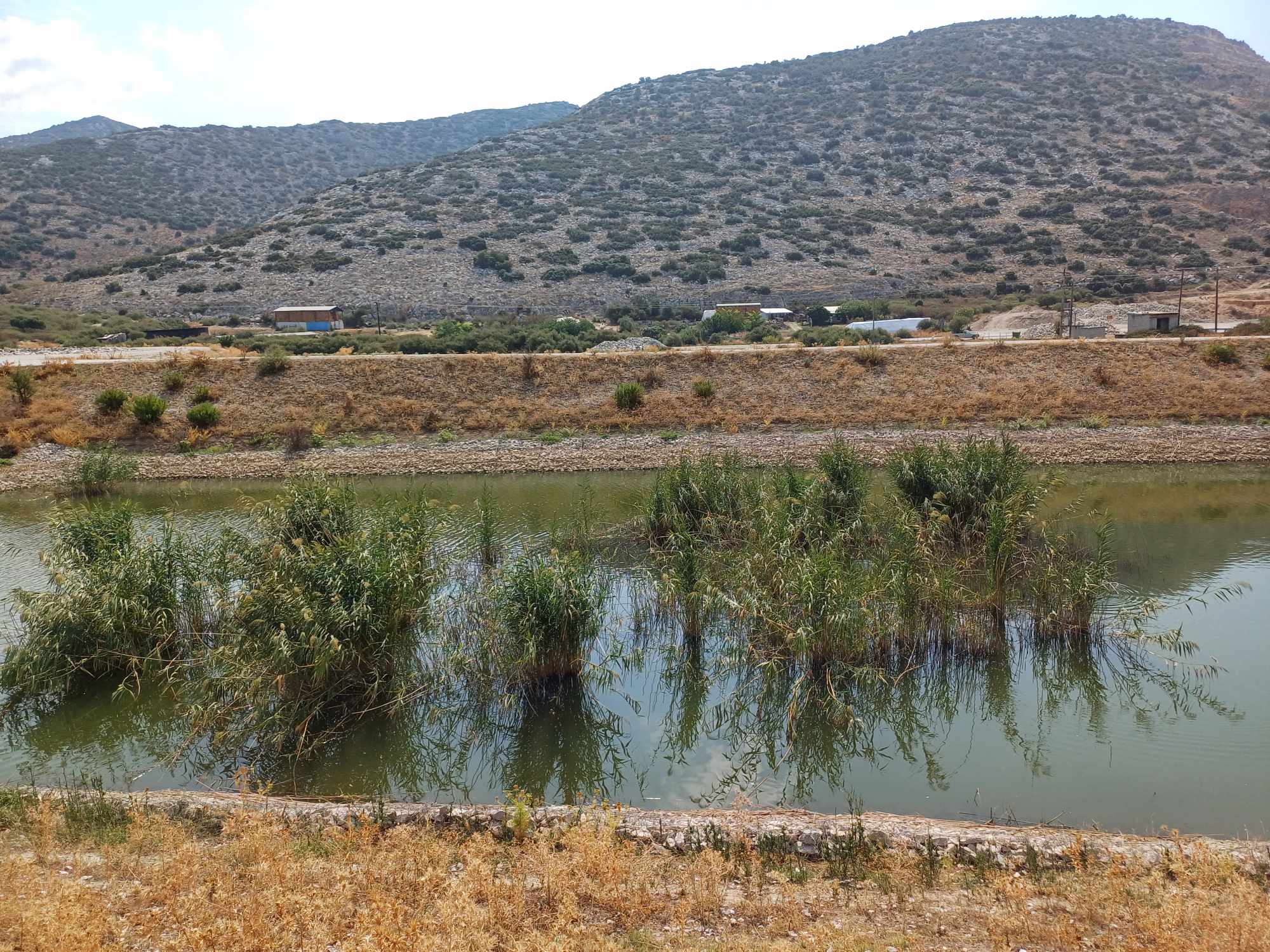 Σε ανανεργό λατομείο δίπλα στην Κάρλα προς τα Κανάλια θα θαφτούν τα ψάρια που δεν μπορούν να καούν (ΦΩΤΟ)