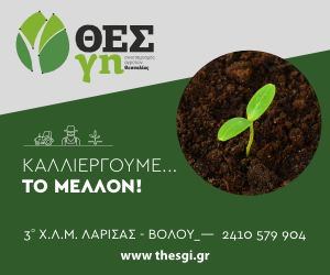 Θες Γη Θες Γη